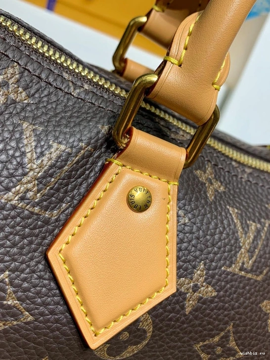 WIS Speedy 25 LOUIS  VUITTON Bandoulière P9 0726